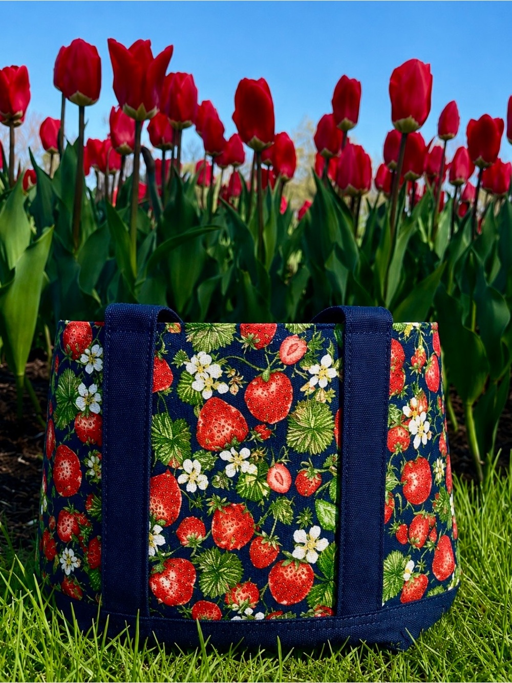 Berry Patch